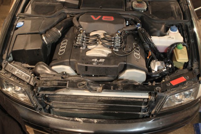 Подкапотная компоновка газового оборудования Alpha M на Audi S8 Quattro V8