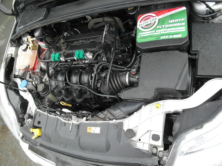 Подкапотная компоновка, двигатель Duratec Ti VCT 1.6, Ford Focus III