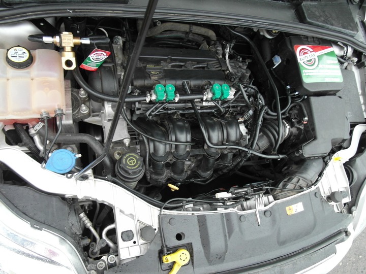 Подкапотная компоновка, двигатель Duratec Ti VCT 1.6, ГБО Zavoli, Ford Focus 3
