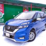 Бинар 5S на Nissan Serena e-Power (C27)